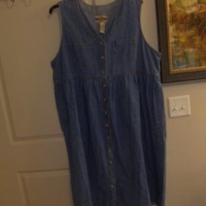 2 denim dresses